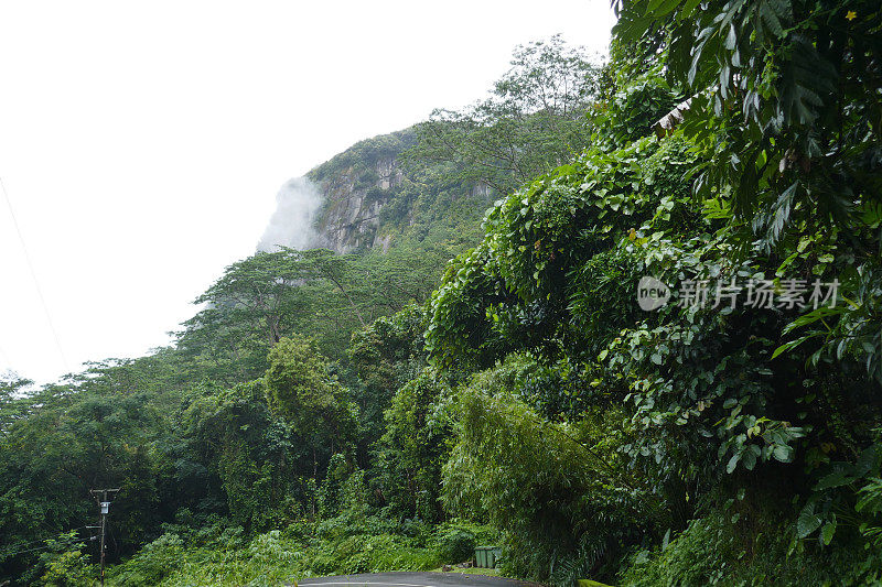 塞舌尔Morne Seychelles国家公园